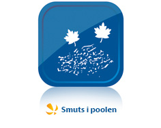 Smuts i poolen